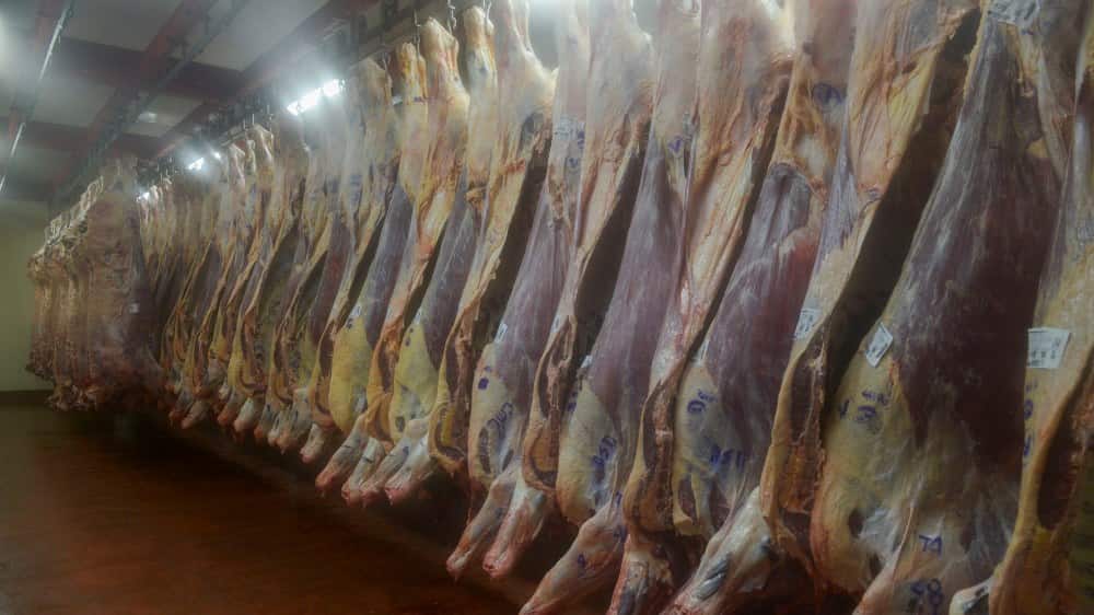 Frigoríficos reclaman una baja en los derechos de exportación a la carne y corrección en el IVA