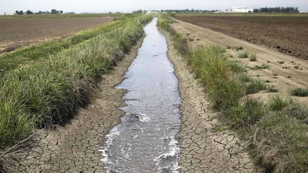 El gobernador declaró emergencia o desastre agropecuario provincial por sequía en varios lotes de La Pampa