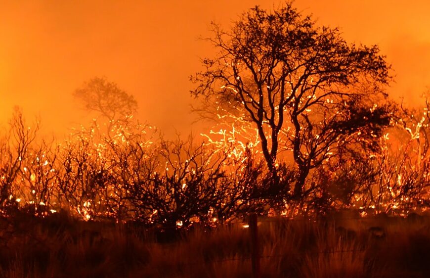 «Es impresionante, nos va a encerrar el fuego»: duro video en pleno avance de los incendios en Córdoba