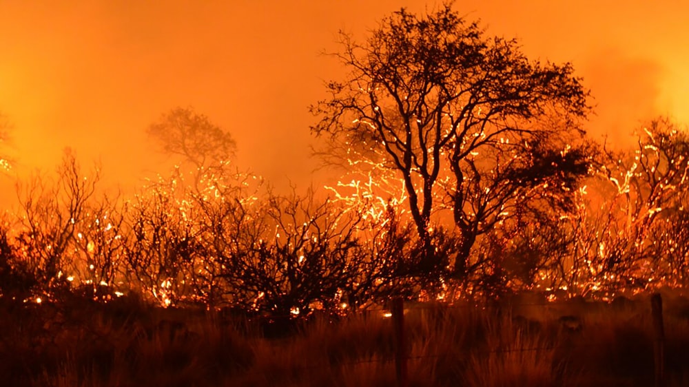 Amplían la emergencia agropecuaria por incendios para departamentos de La Pampa