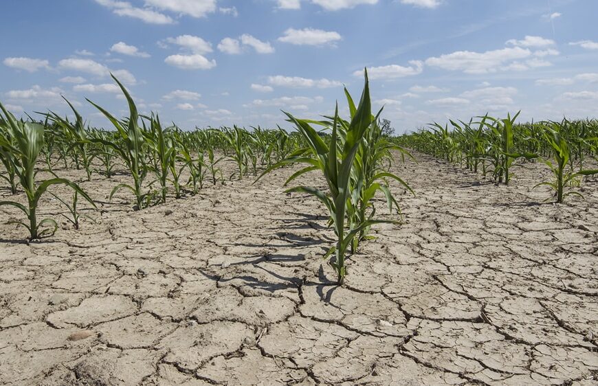 La erosión hídrica afecta al 26% de los suelos argentinos