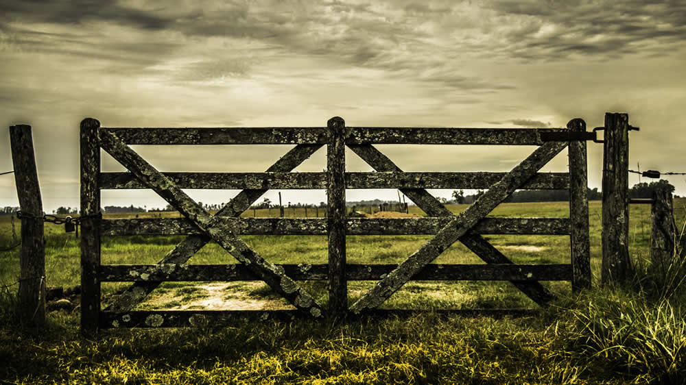 ¿Cómo se prepara el campo para el año legislativo?