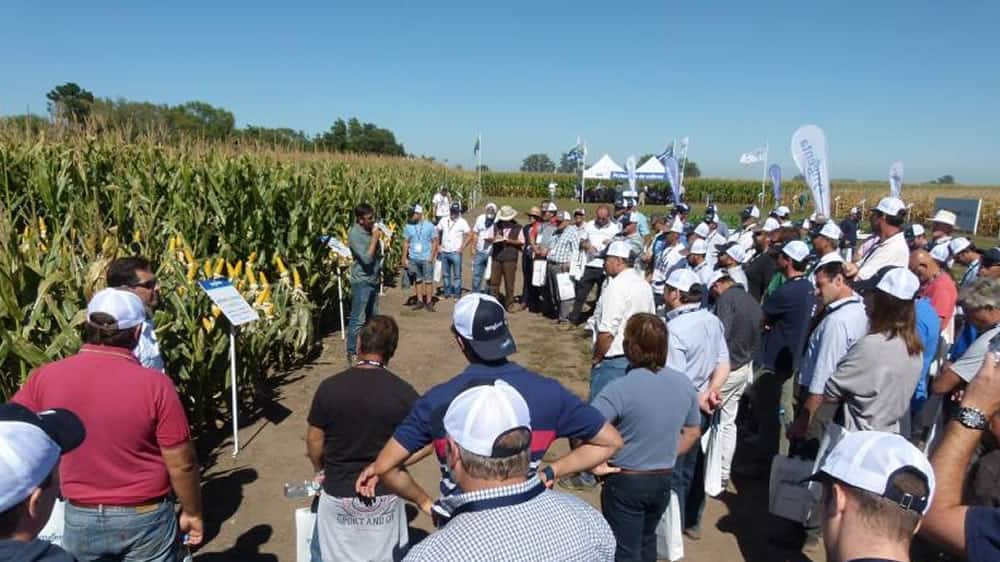 Estrategias de manejo y nuevas tecnologías para producir soja y maíz