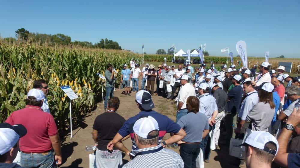 Syngenta lo que se presento en Expoagro 2018