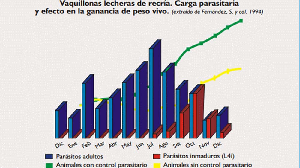 Gastroenteritis verminosa de los rumiantes. Parte 1