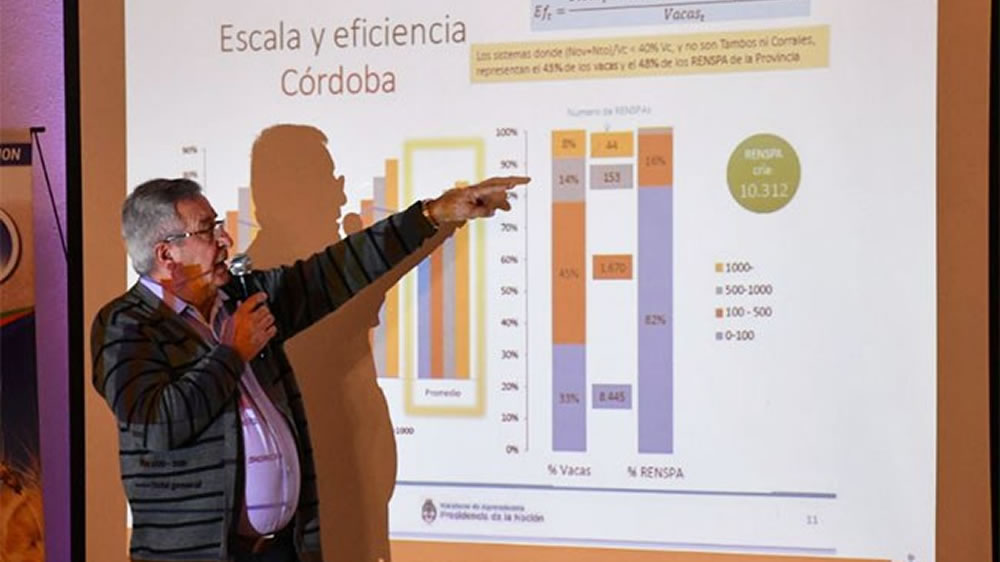 Stock ganadero cordobés: ¿bajaría entre un 10 al 20% a causa de la sequía?