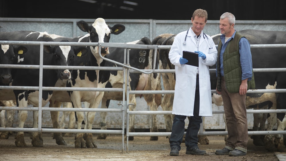 Promueven el apoyo al bienestar animal en las próximas elecciones europeas