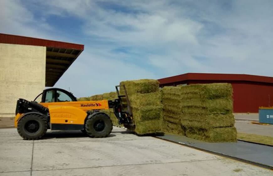 Santiago del Estero exporta a China más de 680 toneladas de fardos de alfalfa