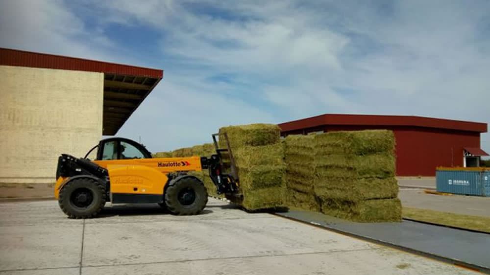 Santiago del Estero exporta a China más de 680 toneladas de fardos de alfalfa