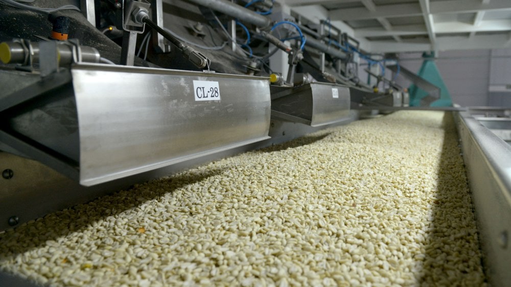 Cambios en el almacenamiento de granos: qué deben hacer acopiadores y productores