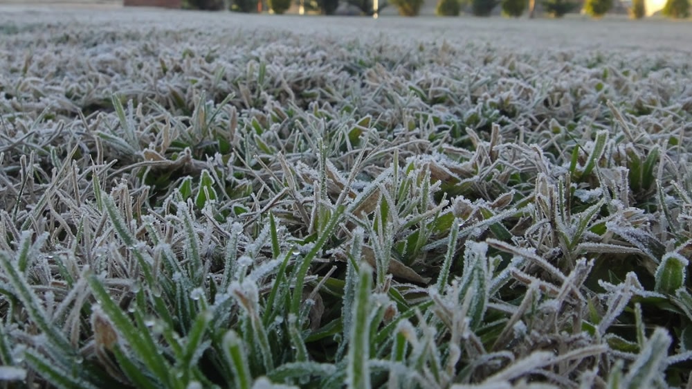 Se esperan heladas en Buenos Aires y La Pampa