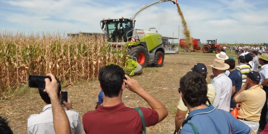 Claas pone bajo la lupa el boom del silaje