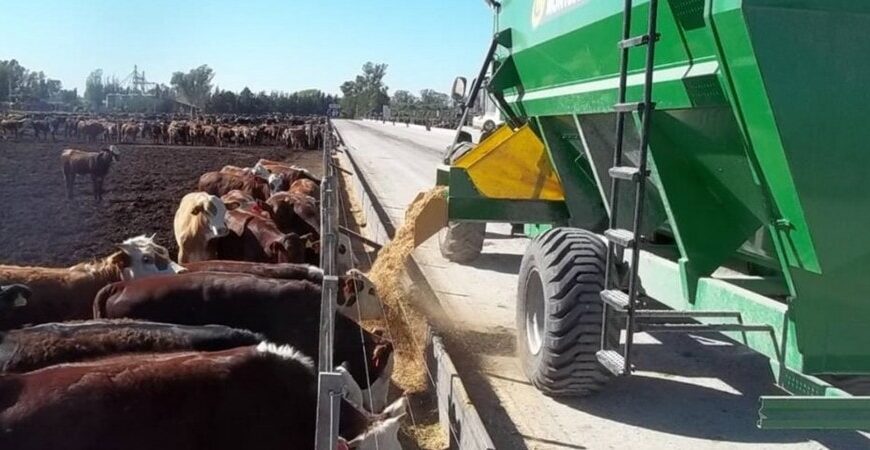 Con más reservas, las vacas se sirven de la bolsa