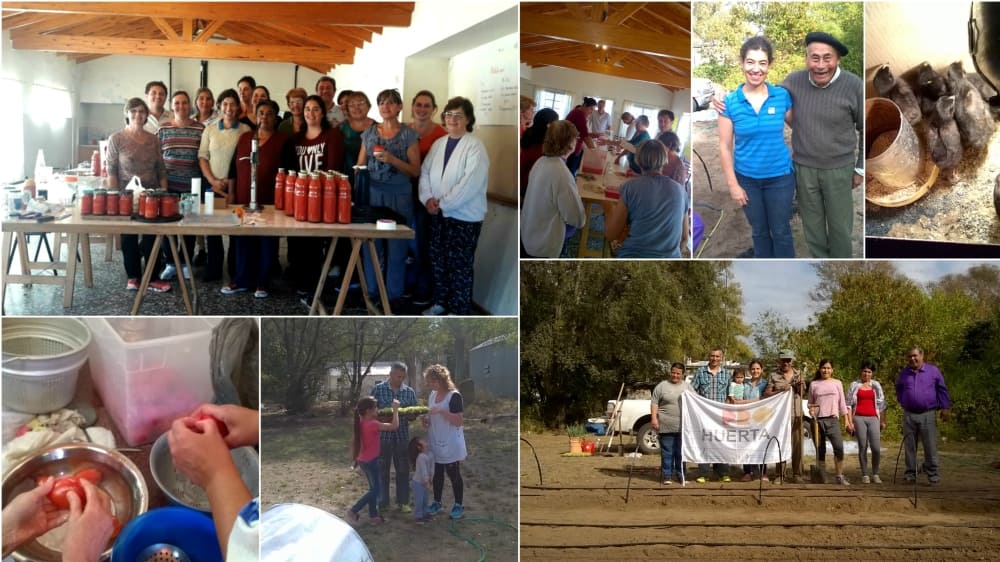 Actividades de ProHuerta de la Agencia de Extensión INTA Anguil: taller de conservas, huertas escolares y seguimiento de huertas familiares