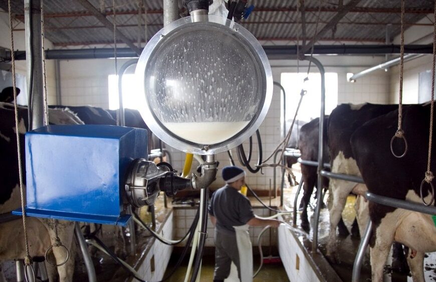 Según una encuesta de CREA, se proyecta un aumento de la producción láctea y ganadera para 2019