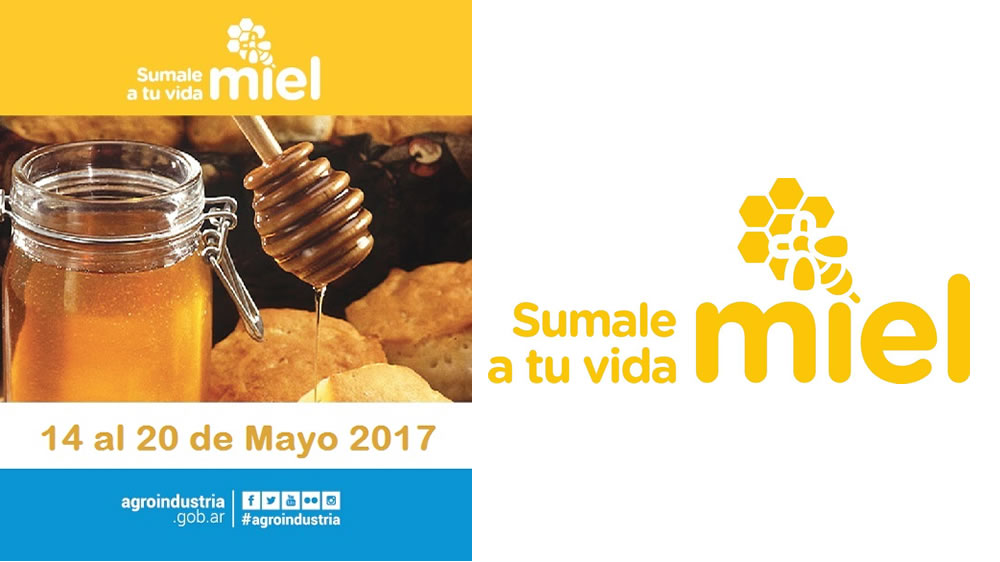 Buscan visibilizar la Actividad Apícola. Lanzamiento de la Semana de la Miel