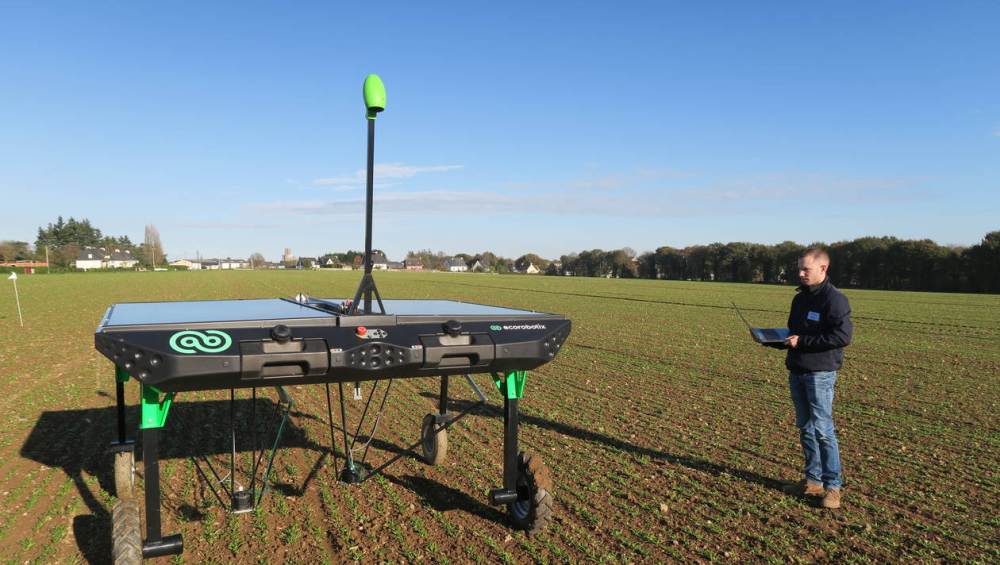 Ecorobotix: la máquina agrícola que trabaja con energía solar y aplica 20% menos de herbicida