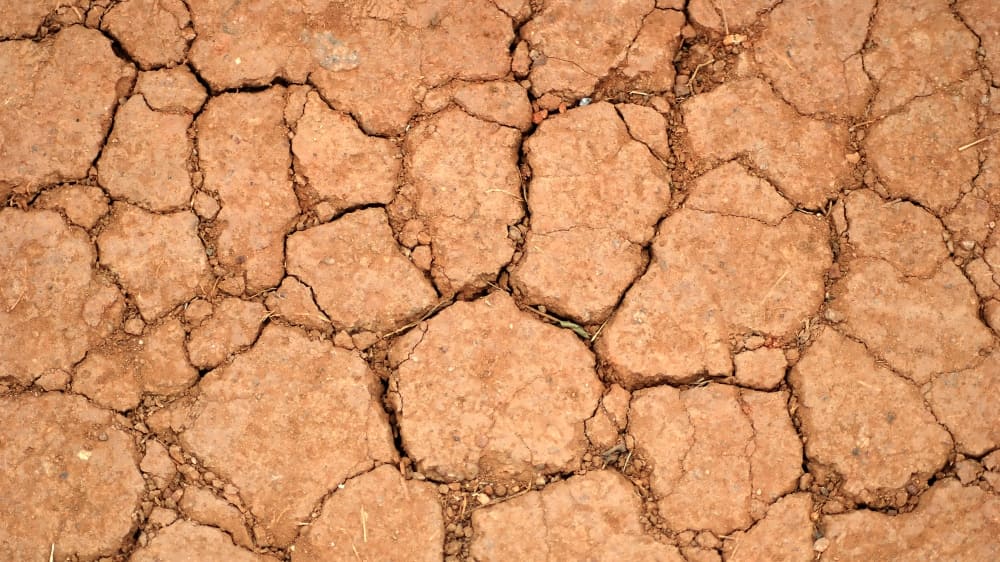 Uruguay : El agro apunta a “cosechar agua” para enfrentar una nueva sequía