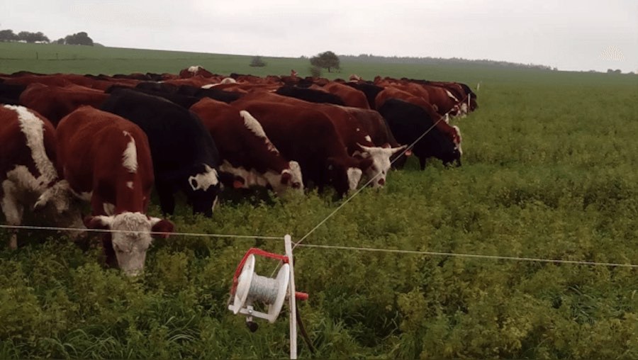 Toma de tierra: qué tener en cuenta para lograr los mejores resultados