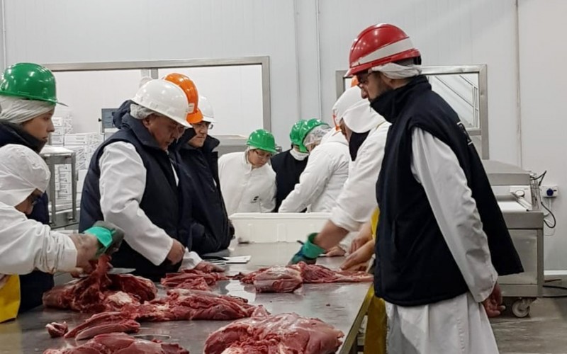 Habilitación de un establecimiento para exportar carne de guanaco