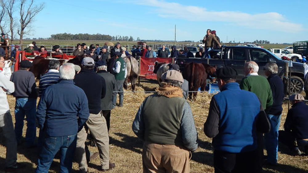 En 2019 Buenos Aires será la primera provincia en contar con una “guía única de autogestión” para facilitarle la vida a los productores ganaderos