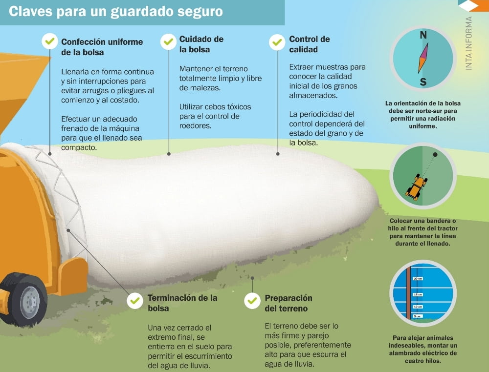 Cómo guardar granos húmedos sin perder calidad