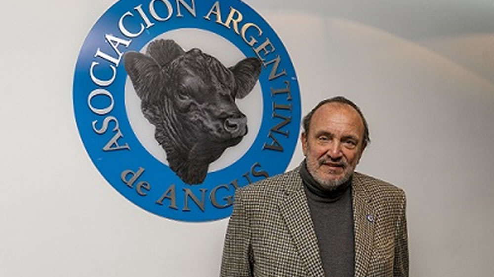 «Si se abre la exportación de carnes a Estados Unidos, la primera en ingresar será la de Angus Certificada»