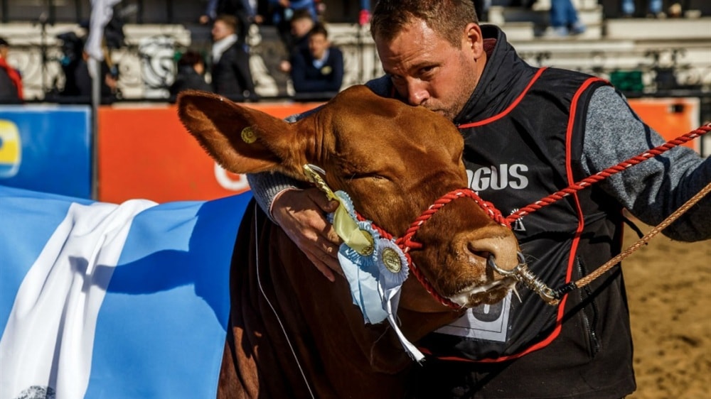 La cabaña «Don Pedro» ganó el Gran Campeón Hembra Brangus