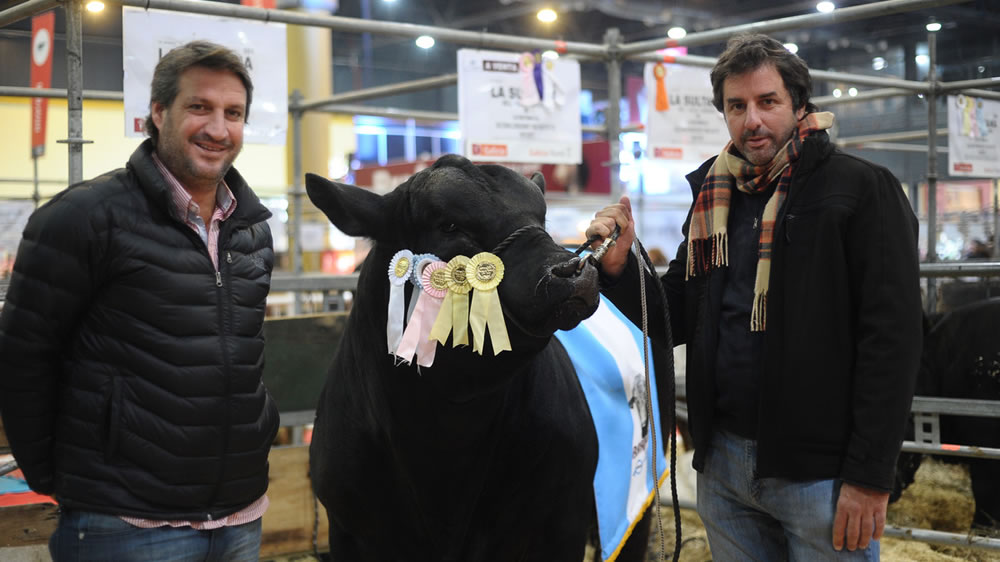 Los secretos detrás de los Grandes Campeones que muestran el futuro de la carne argentina