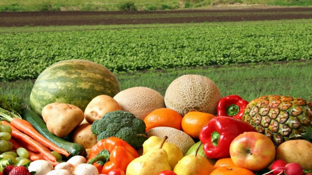 Estabilizar la Producción de Alimentos de las Naciones a través de la Diversidad de Cultivos