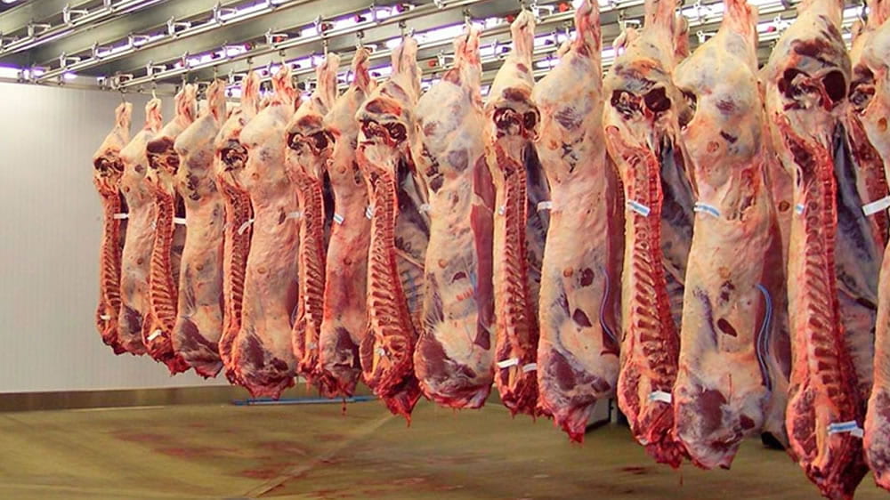 Versus el año pasado. China empujó un 40% los precios del negocio de la carne