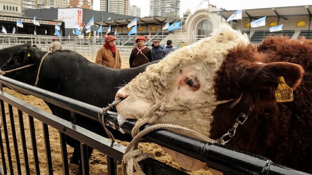 Lo destacado de la “Semana de la Carne en Palermo 2018”