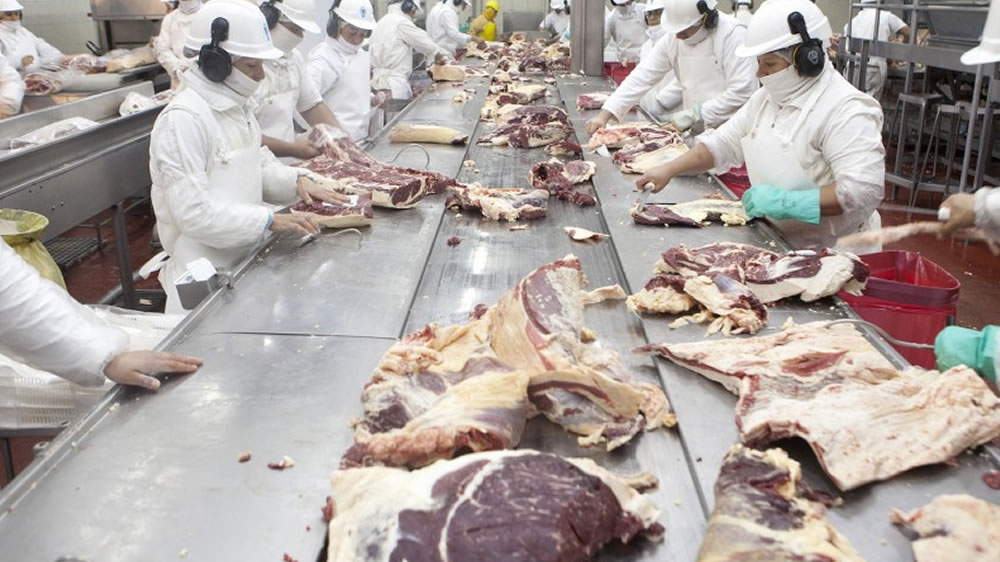 Argentina venderá grasa bovina a Marruecos
