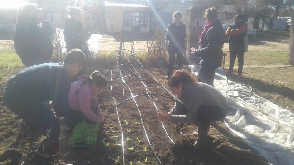 Taller de Huerta Familiar de Invierno en Anguil