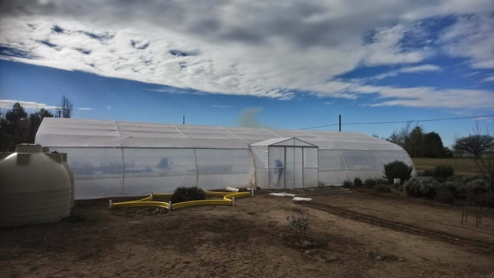 Generando espacios para la inclusión a través de un Proyecto Especial de ProHuerta en Santa Rosa