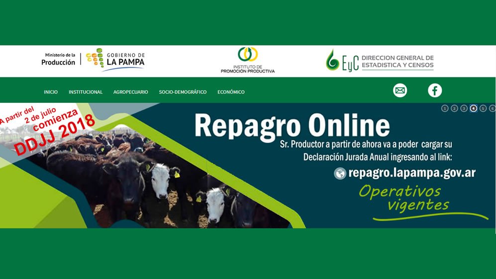 El REPAGRO on line registró 8400 declaraciones