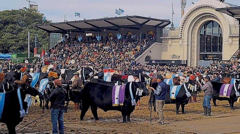 Tiempo de descuento para el inicio de la Exposición Ganadera del Palermo 2019