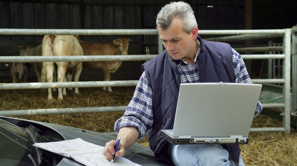 Sistematización, la mejor manera de llevar registros en el campo ganadero