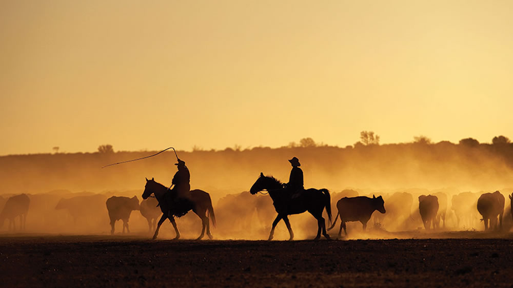 Australia: tierra de gente amable y vacas eficientes, por Belisario Castillo