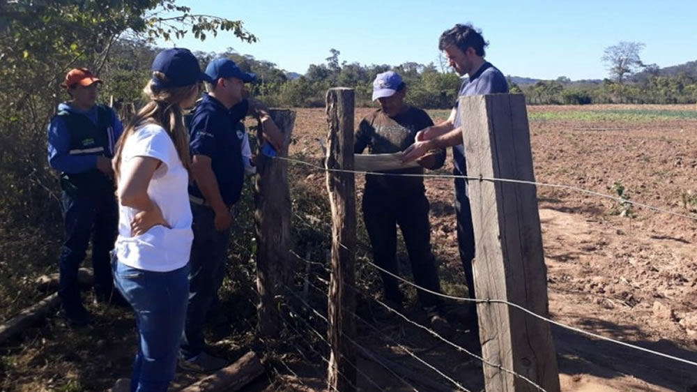 Argentina y Bolivia constataron la ausencia de langostas en su frontera