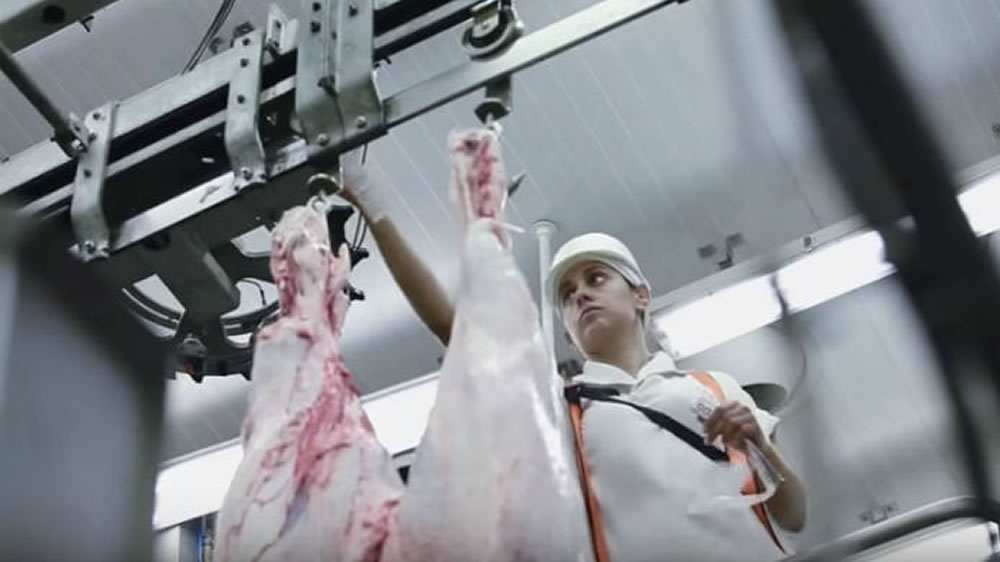 Continúa la tendencia de crecimiento para la producción de carne argentina