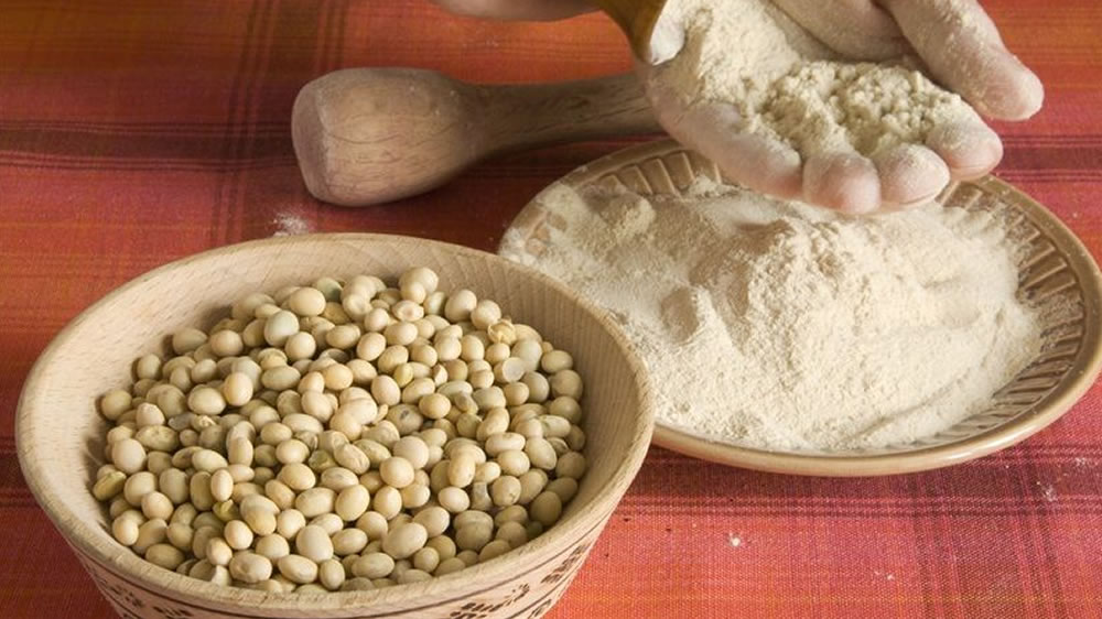 Argentina se prepara para volver a exportar harina de soja a China