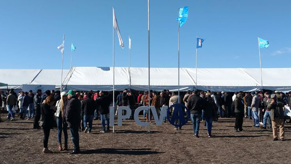 Más de 700 productores en la Jornada a Campo del IPCVA en Entre Ríos