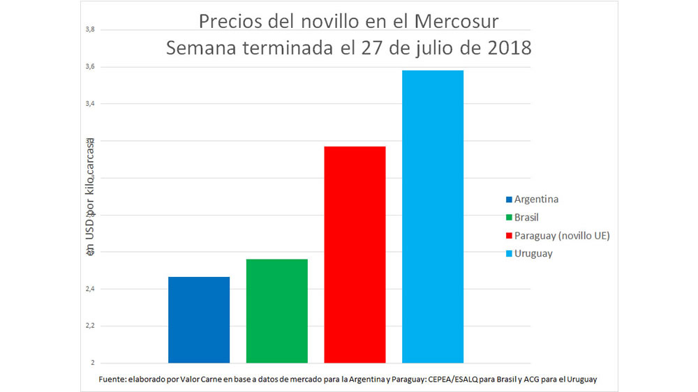 Novillo Mercosur: se achican las brechas por aumentos en Brasil y la Argentina