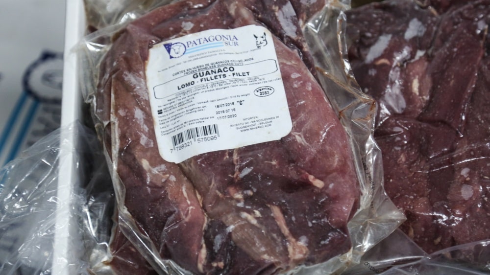 Argentina exporta por primera vez carne de guanaco