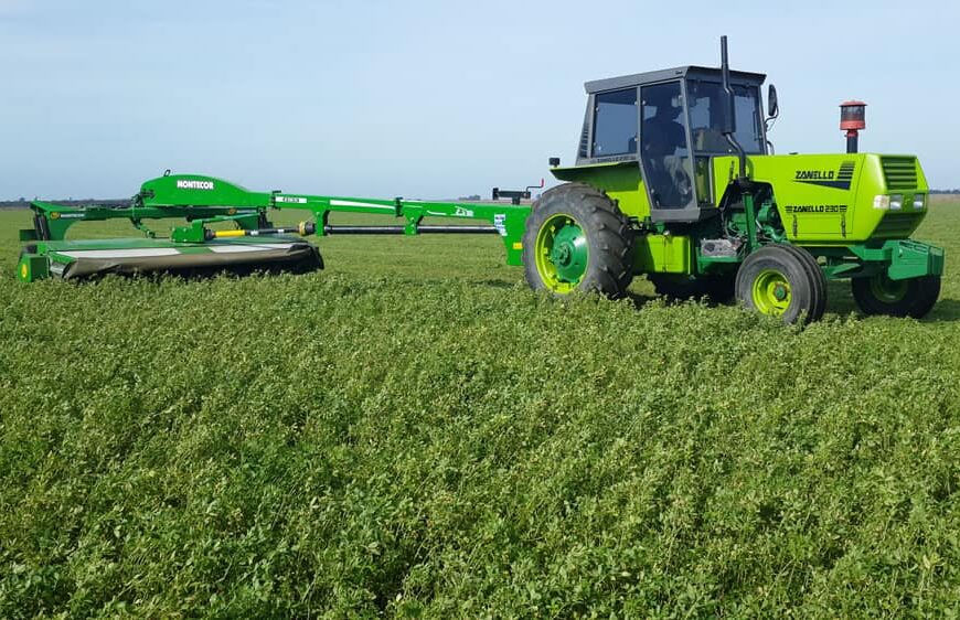 Prácticas para producir un heno de alfalfa de calidad