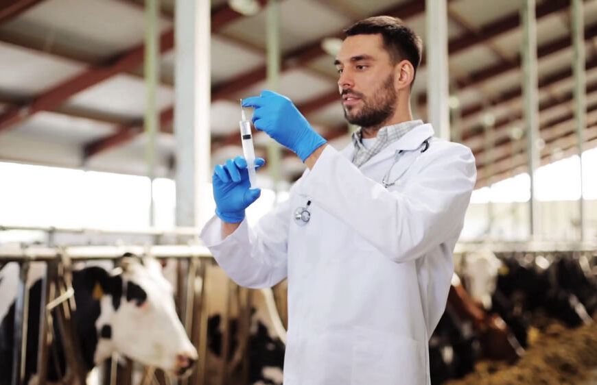 Qué son, cómo funcionan y qué detalles debes cuidar cuando utilizas implantes anabólicos esteroides en bovinos en engorda