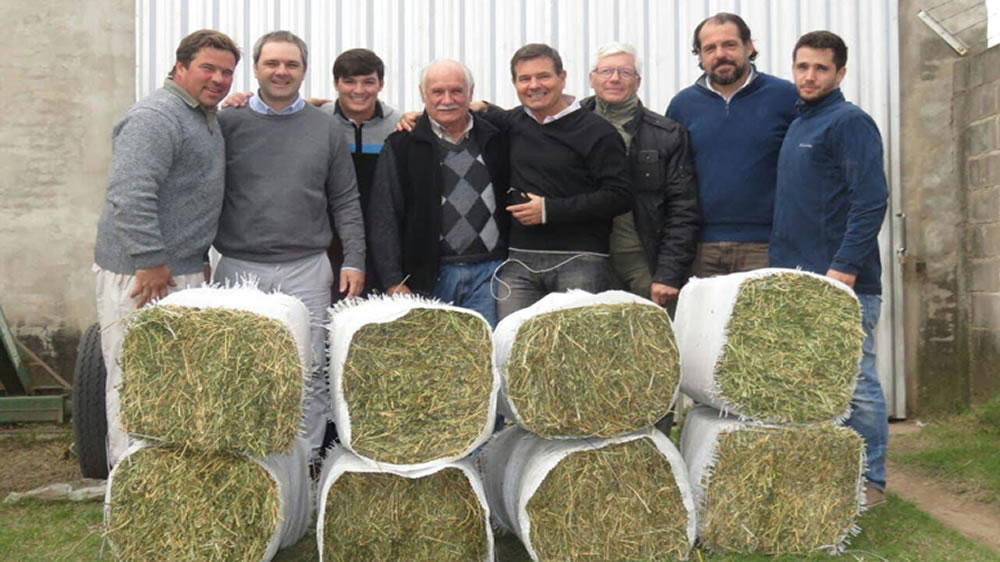 Iniciativas que agregan valor a la producción de alfalfa