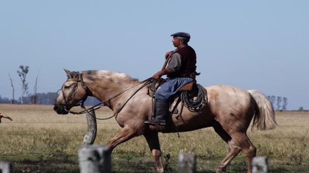 Se actualizó el salario mínimo de los trabajadores rurales