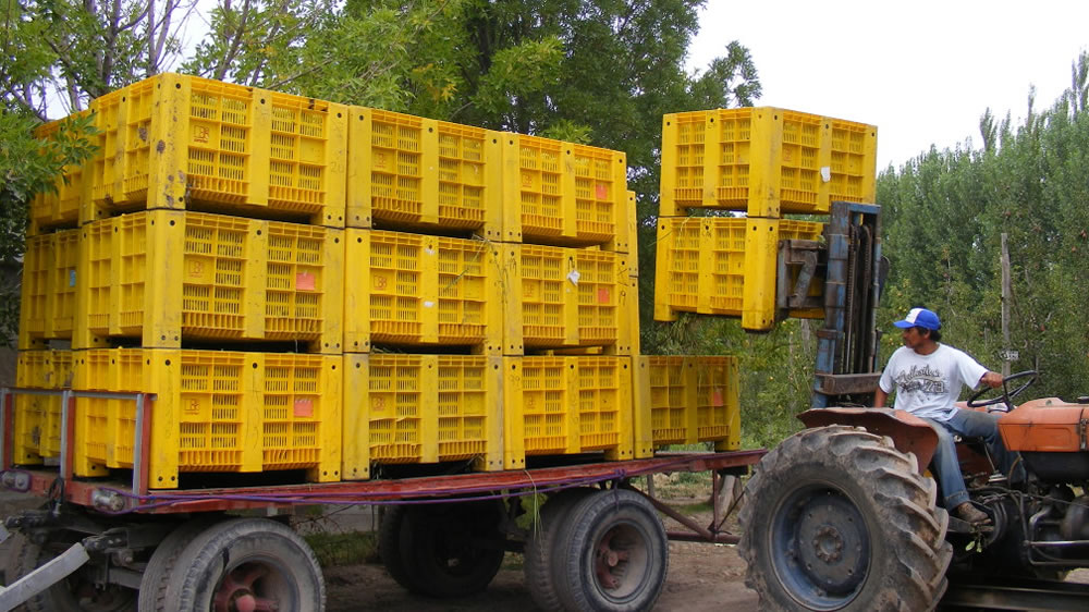 A partir de 2020 todas las empresas productoras de frutas deberán acreditar el cumplimiento de Buenas Prácticas Agrícolas